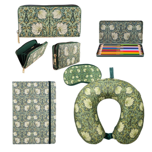 Pack cojín de viaje verde